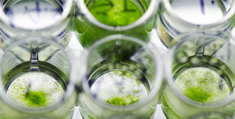 Application of Bioreactor Vergister in Algen biotechnologie